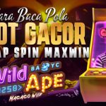 Slot Wild Ape #3258: Harta Karun di Tengah Hutan, Petualangan Mencari Cuan Digital!